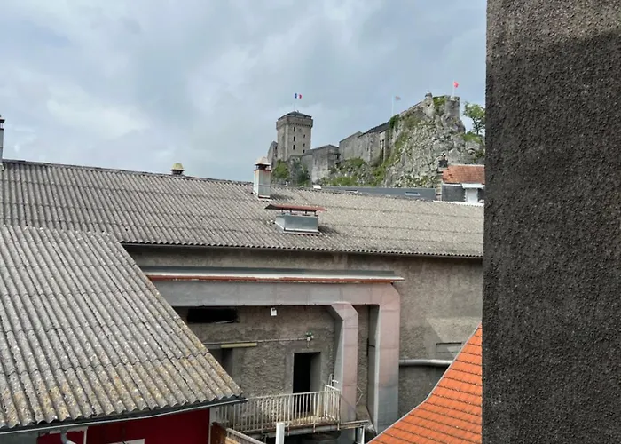 Residence Selva Appartements A Lourdes Proche Sanctuaire * Lourdes